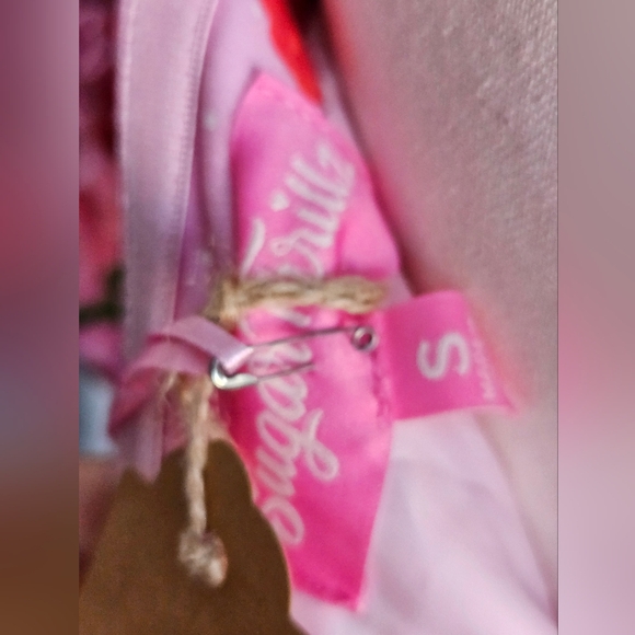 NWT Holding Court Corset Dress - Pink SOLD OUT - Picture 7 of 7